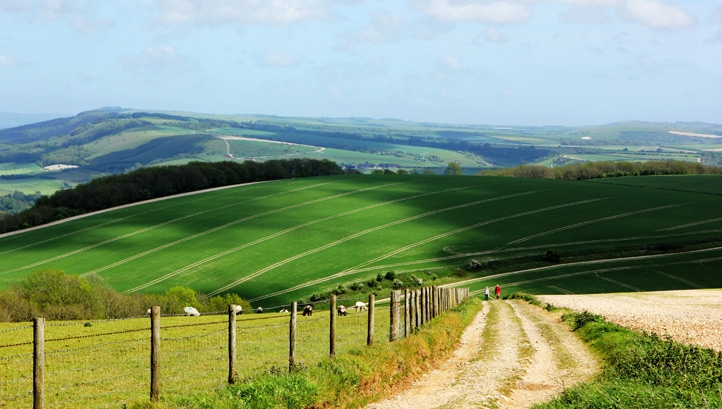edie rounds up the commentary on key areas of the Environment Bill